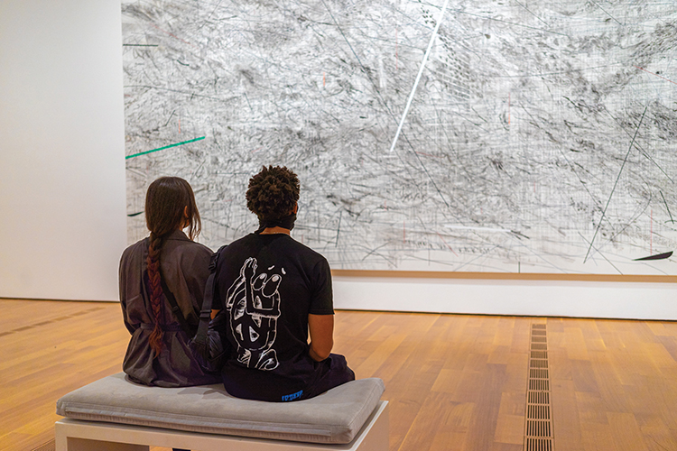 Members view Julie Mehretu's Invisible Line (collective)