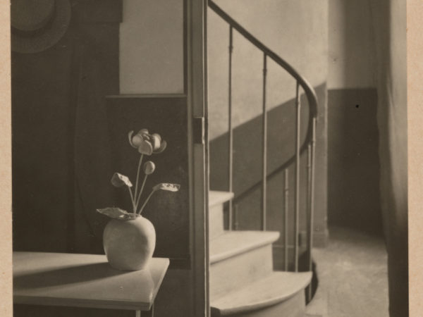 A flower in a white vase sits on a bench next to an open door into a hall with a curving staircase.