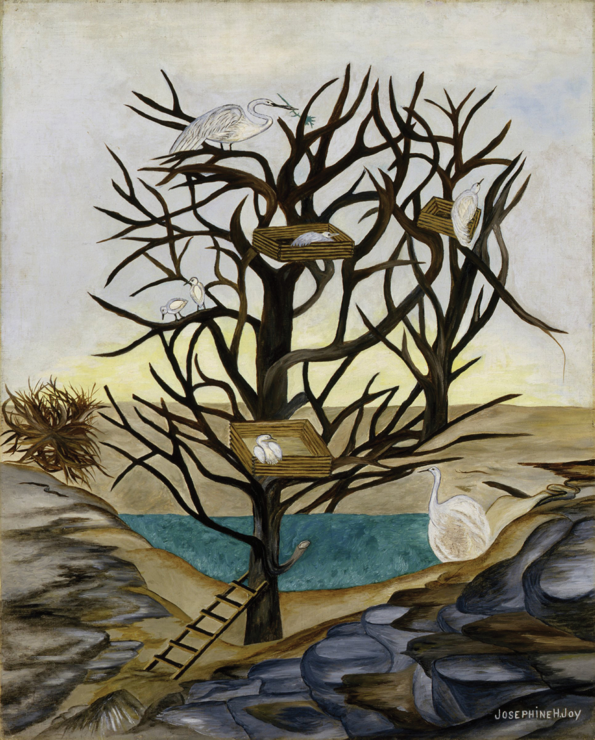 Several birds, large and small sit on branches or in nests in a bare tree with twisting branches; a wooden ladder leans against the tree trunk.